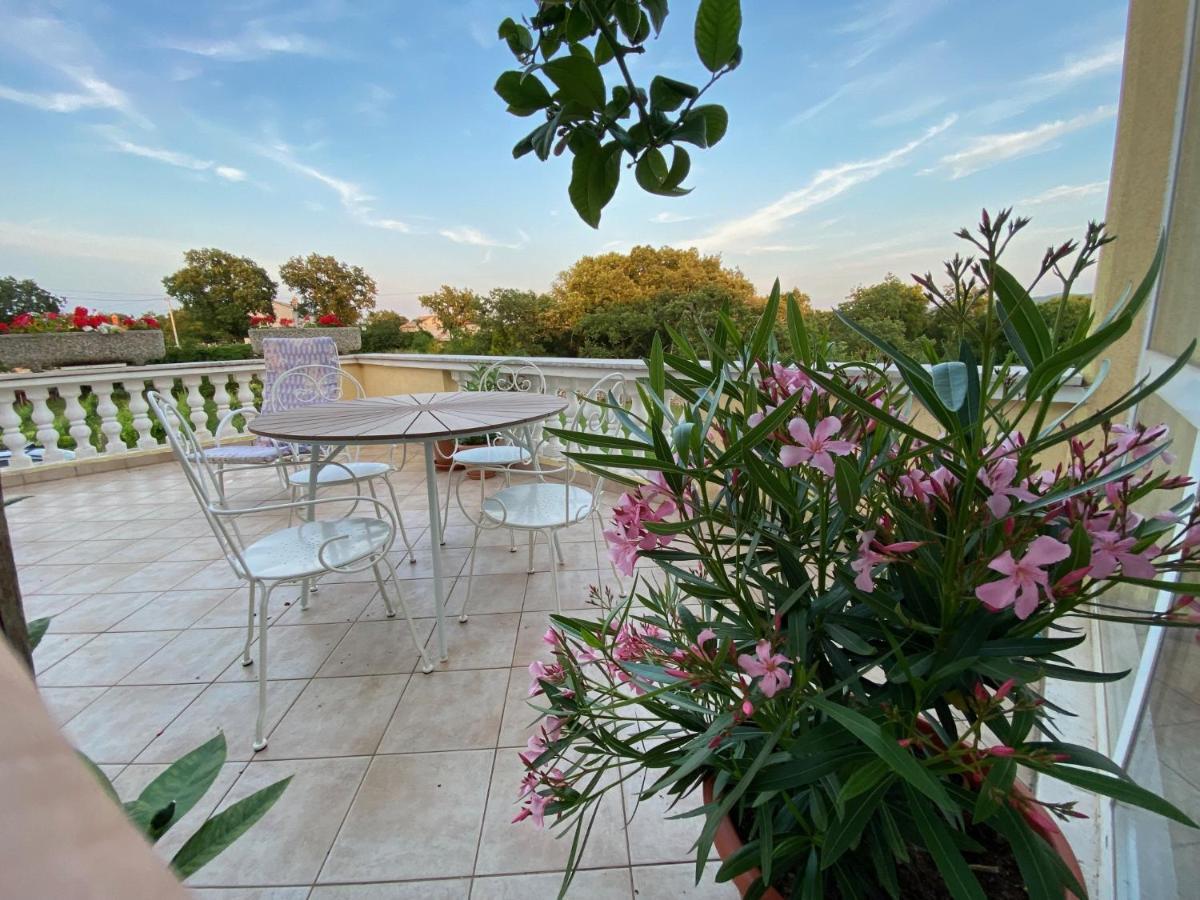 Villa Yucca Istra Labin  Ngoại thất bức ảnh