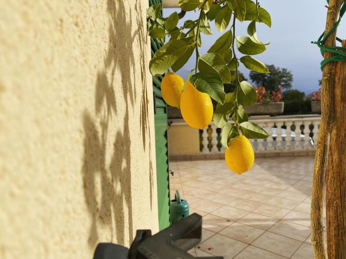 Villa Yucca Istra Labin  Ngoại thất bức ảnh