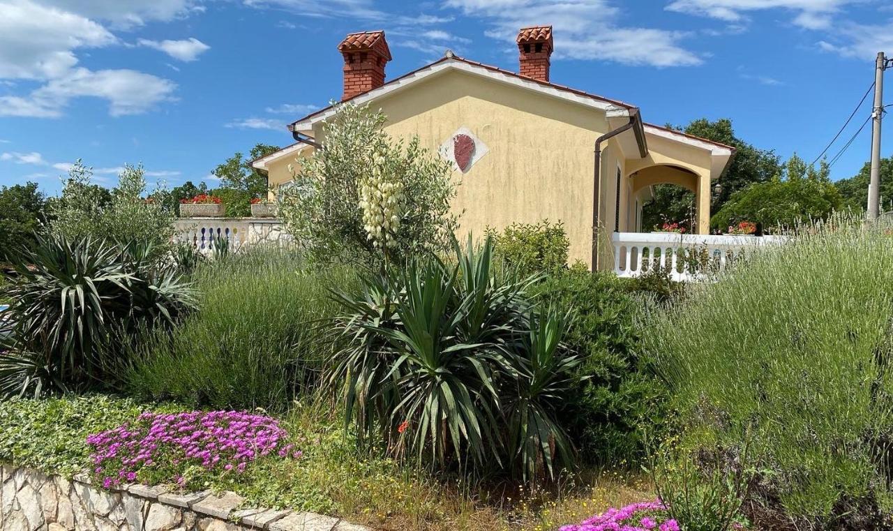 Villa Yucca Istra Labin  Ngoại thất bức ảnh