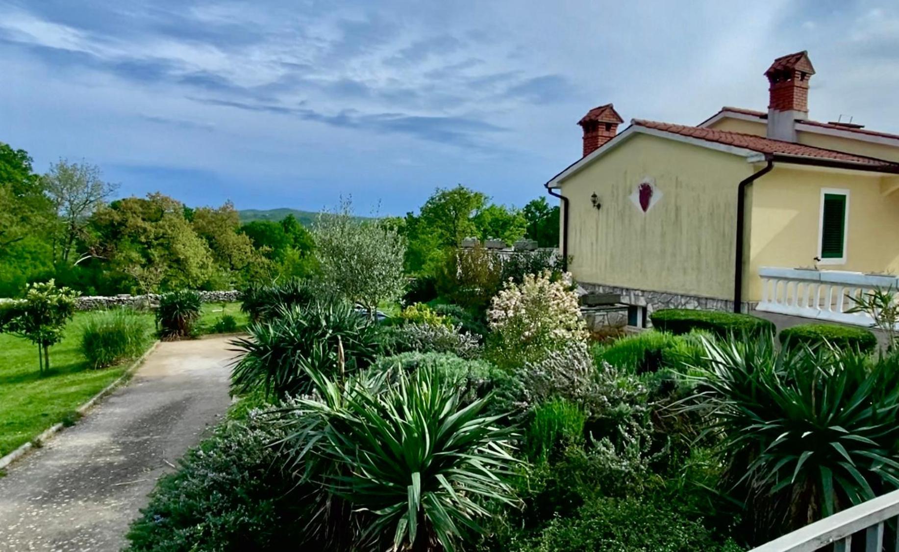 Villa Yucca Istra Labin  Ngoại thất bức ảnh